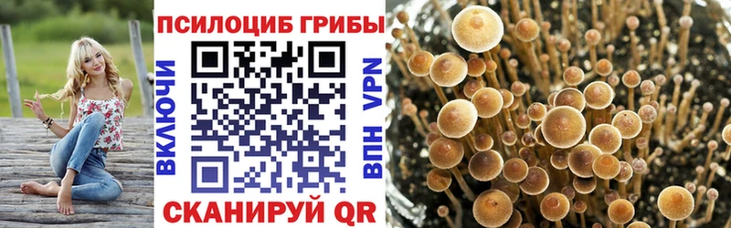 Галлюциногенные грибы ЛСД Кашира